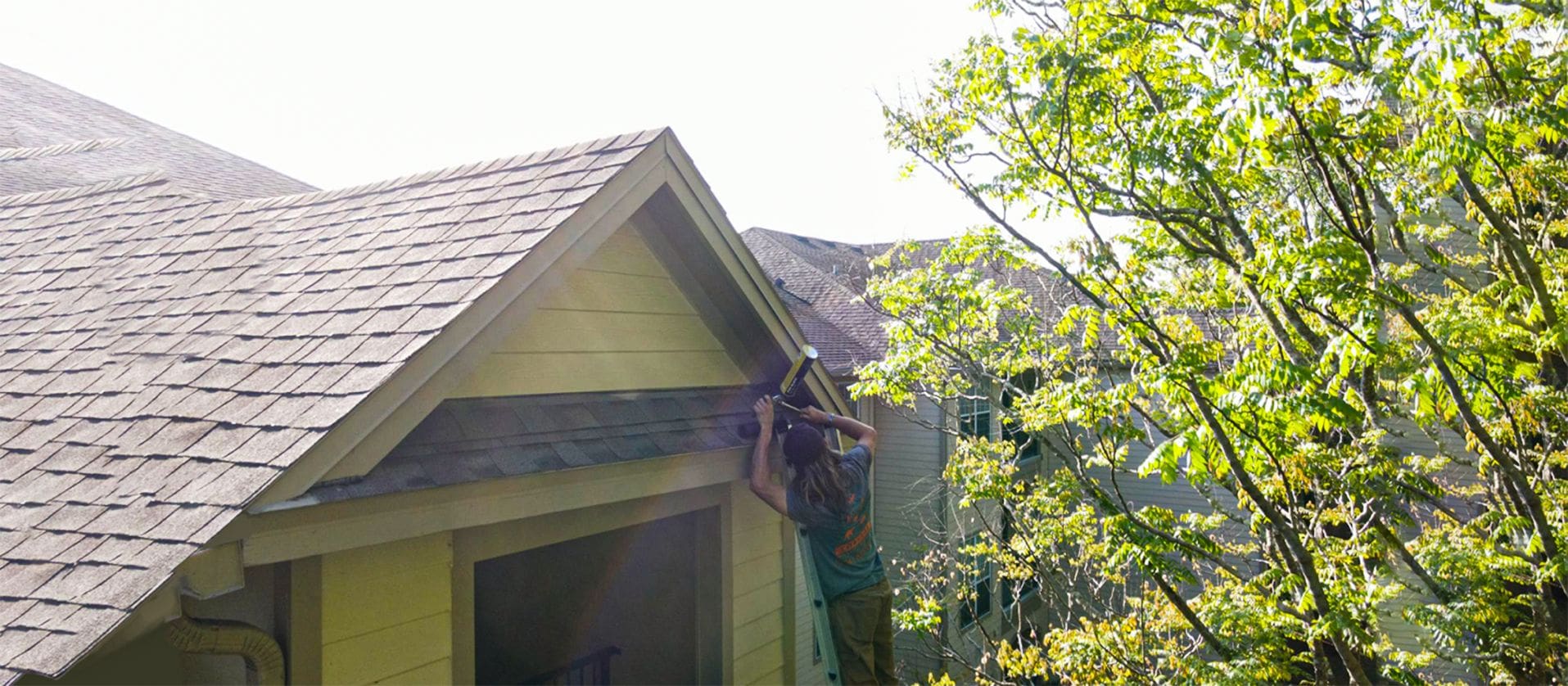 Pest Control on House Roof