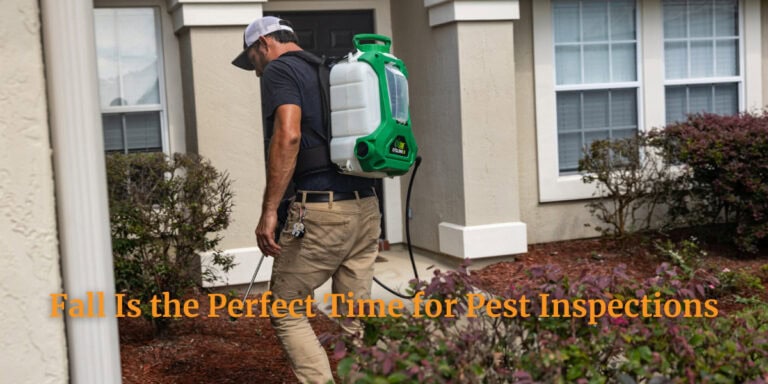 Fall is the perfect time for wildlife inspection